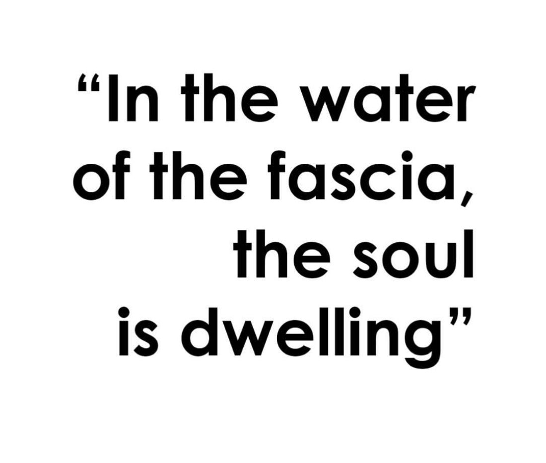 Fascia Flow Teacher Training